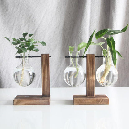 Vertical Bloom Glass Propagator