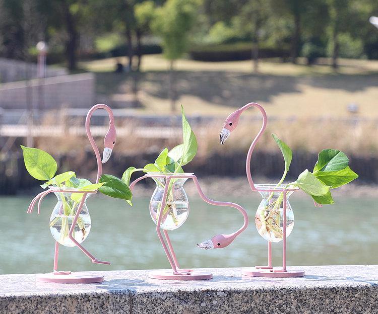 Tropical Flamingo Growth Vessel