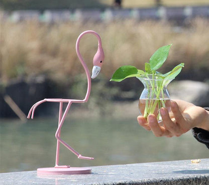 Tropical Flamingo Growth Vessel
