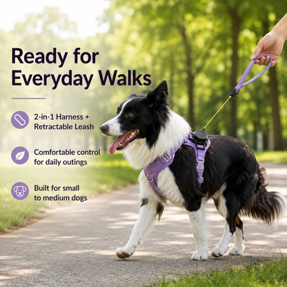 Ortekor 2-in-1 Retractable Dog Harness for Daily Walks - Built-In Leash Vest with Auto-Stop Control for Small & Medium Dogs