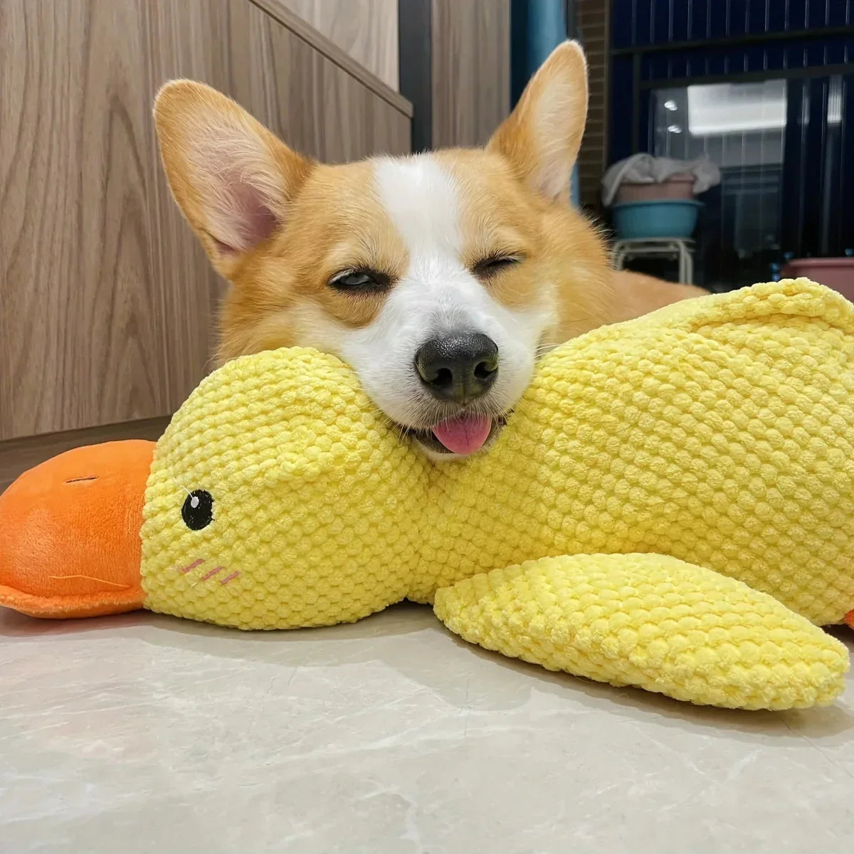 Squeaky Duck Plush Chew Toy for Dogs with Realistic Quack Sound for Small Medium Large Breeds Indoor Tug Play Fetch Teething Relief Companio