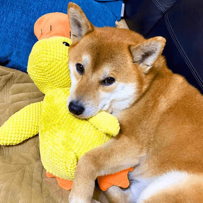 Squeaky Duck Plush Chew Toy for Dogs with Realistic Quack Sound for Small Medium Large Breeds Indoor Tug Play Fetch Teething Relief Companio