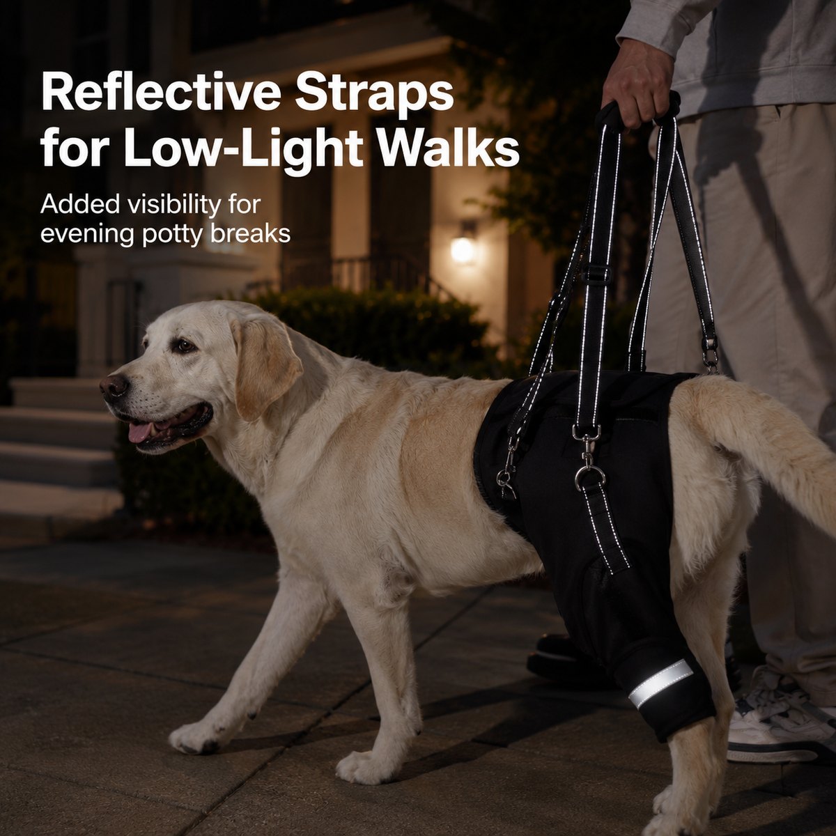 Ortekor Help Your Senior Dog Climb Stairs, Get in the Car & Walk with Rear-Leg Support