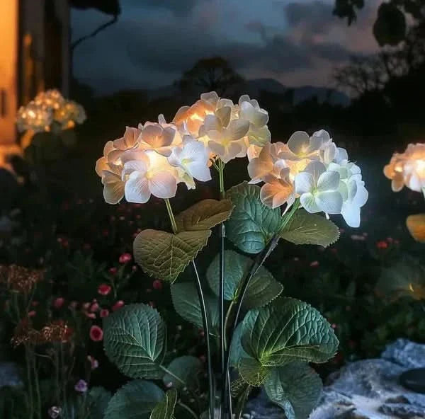 HYDRANGEALIVA – Glowing Hydrangea Decor for Elegant Outdoor Spaces