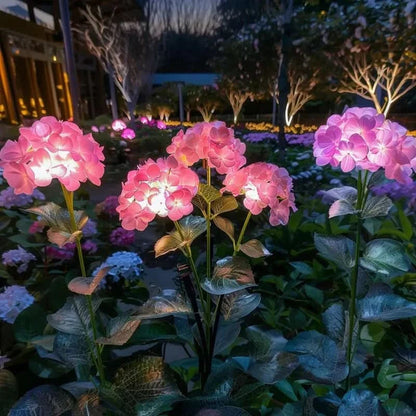 HYDRANGEALIVA – Glowing Hydrangea Decor for Elegant Outdoor Spaces