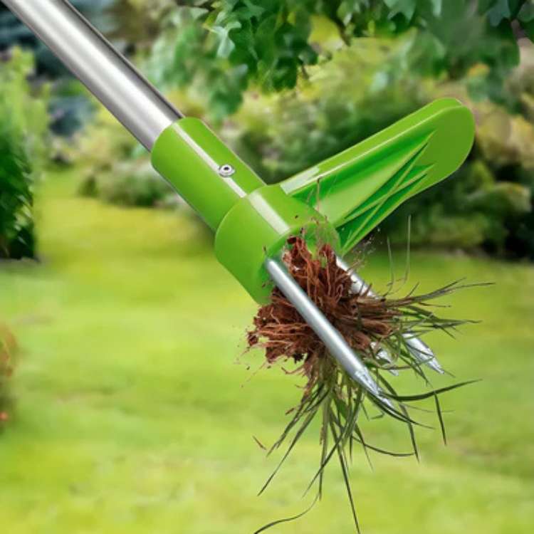 Stand-Up Weed Remover Tool with Root Extraction Claws for Lawns Gardens Flower Beds Patios Walkways Dandelion Thistle Removal