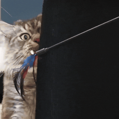 Rascador para gatos | Tabla rascadora de poliéster duradero con fácil instalación | Diseño versátil para proteger muebles
