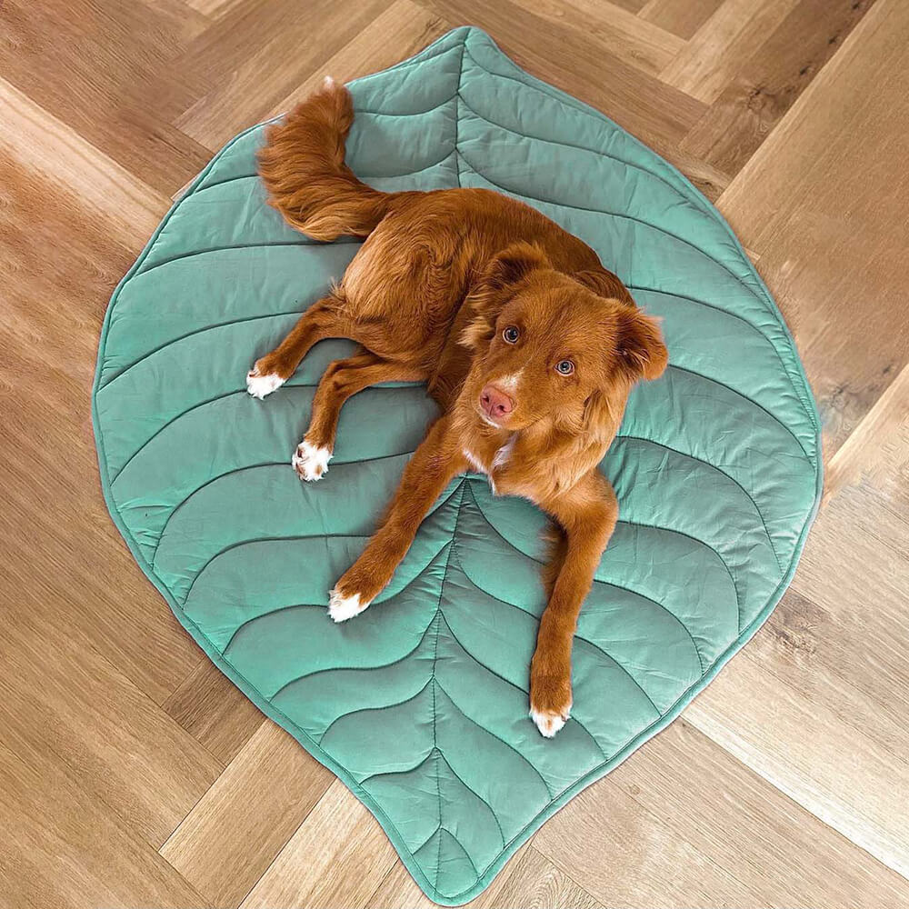 Botanical Leaf-Shaped Pet Throw Blanket - Soft Cotton-Polyester Cover for Dogs & Cats - Machine Washable Couch Protector & Floor Mat for