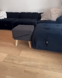 Rampa y taburete PetStep para camas y sofás | Acceso fácil para mascotas