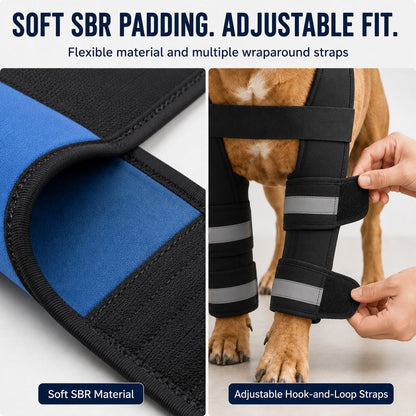 Ortekor Dog Double Front Leg Support Brace for Unsteady Walking - Chest Harness with Internal Metal Support Inserts