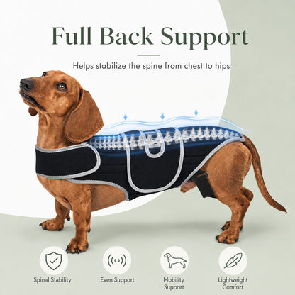 Ortekor SpineGuard Dog Back Support Vest for Dachshunds & Corgis - Adjustable Spinal Support Brace for Senior Dogs, Recovery Days & Gentle Walks