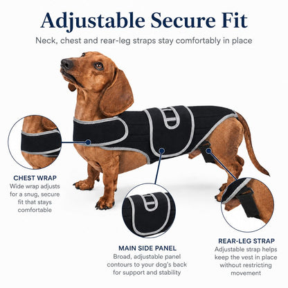 Ortekor SpineGuard Dog Back Support Vest for Dachshunds & Corgis - Adjustable Spinal Support Brace for Senior Dogs, Recovery Days & Gentle Walks