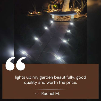Solar Pathway Stake Lights for Garden, Yard & Walkway – Weatherproof LED Outdoor Lighting Set