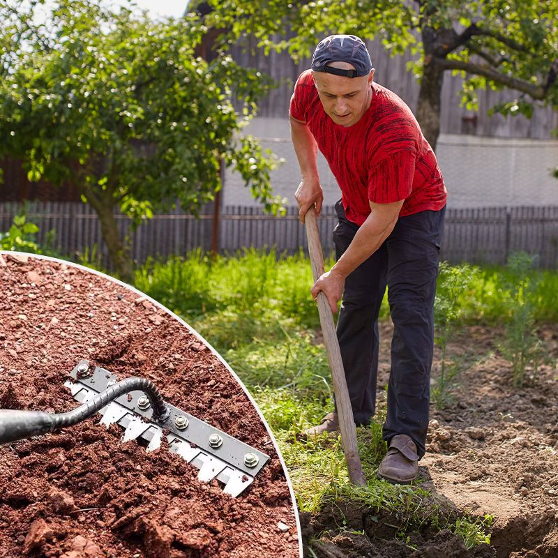 Interchangeable Garden Cultivator Head for Soil Prep & Weeding | Carbon Steel Attachment for Wood Handle, 4 Tine Configurations