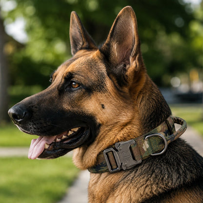 Ortekor Heavy-Duty Tactical Dog Collar for Walks & Training - Padded Handle Control for Strong Large Dogs