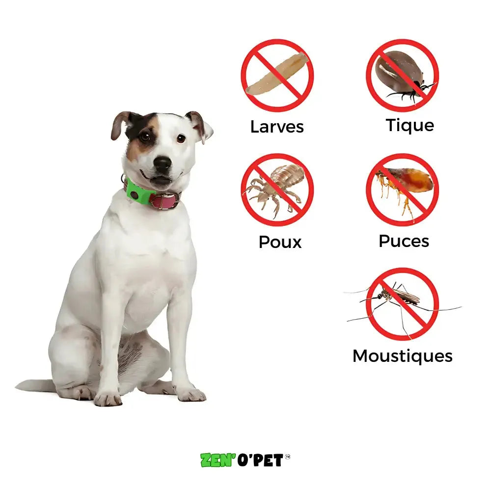 Flea and Tick Collar for Dogs – 8-Month Natural Protection for All Breeds & Sizes – Water-Resistant Adjustable Pest Repellent