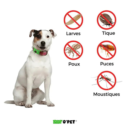 Flea and Tick Collar for Dogs – 8-Month Natural Protection for All Breeds & Sizes – Water-Resistant Adjustable Pest Repellent