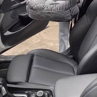 Asiento de coche para perros pequeños, asiento de coche para mascotas con base antideslizante, asiento de coche ajustable para perros y gatos con correas