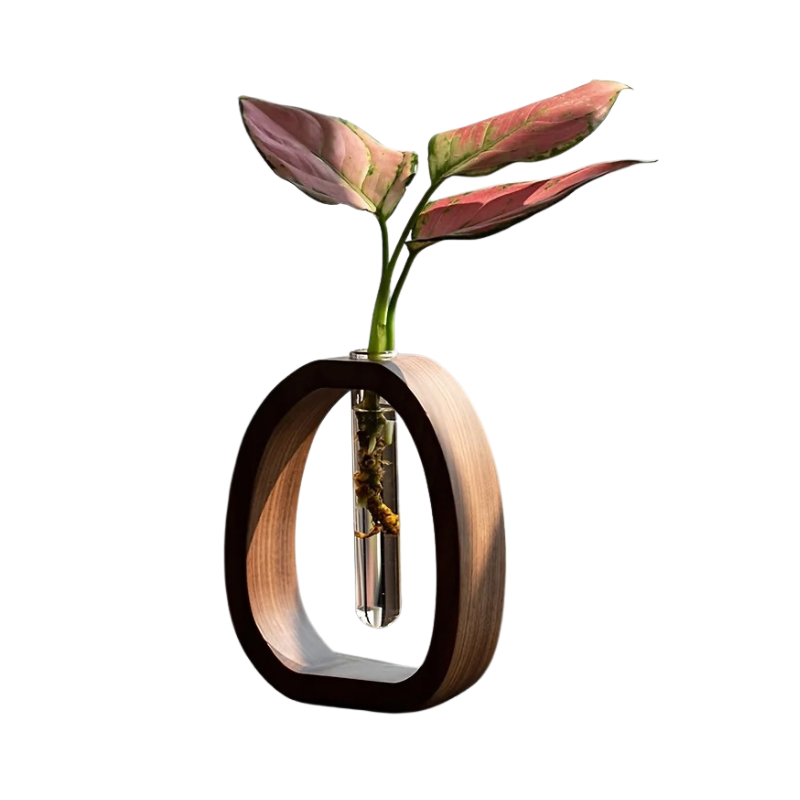 Glass Vase Plant Holder with Wooden Frame Stand for Hydroponics & Cuttings | Desktop Terrarium Display for Home Decor, Living Room & Office