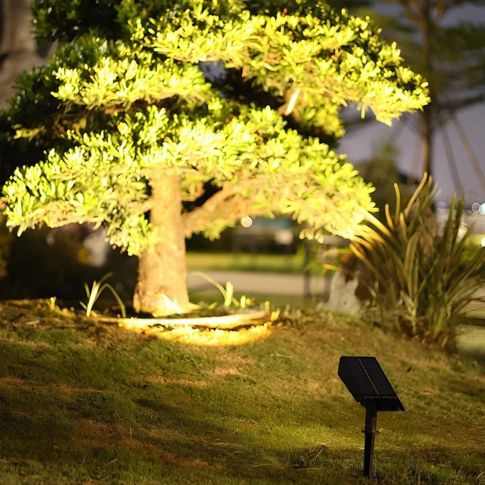 Outdoor Solar Garden Spotlight with Adjustable Beam – Rechargeable Stake Light for Yard, Walkway & Patio Lighting