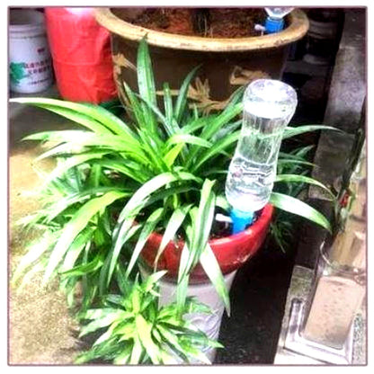Self-Watering Stakes for Potted Plants – Adjustable Drip Irrigation System with Recycled Bottle Adapter – Set of 12