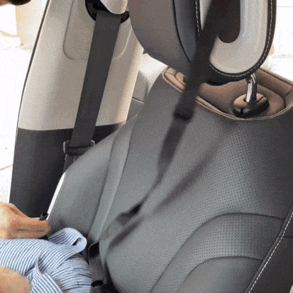Dog Car Seat, Dog Bed for Car Travel with Safety Straps and Tether, Dog Booster Seat with Washable Cover