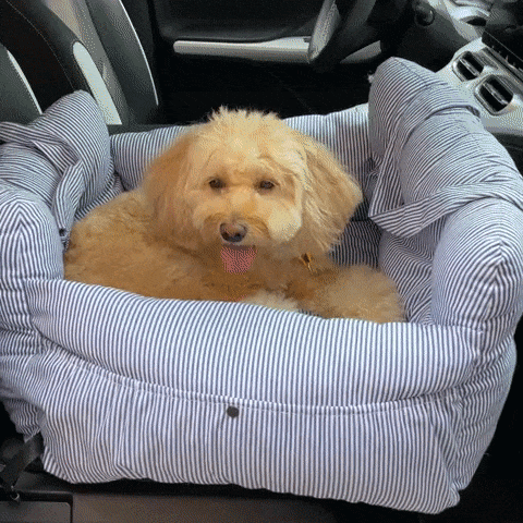 RoadTrip | Pet Bed with Adjustable Safety Features | Cozy Travel Solution for Dogs