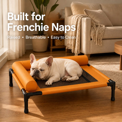 Ortekor French Bulldog Elevated Dog Cot for All-Season Indoor Naps - Breathable Raised Pet Bed with Soft Bolsters for Cooler Rest & Easy Cleaning