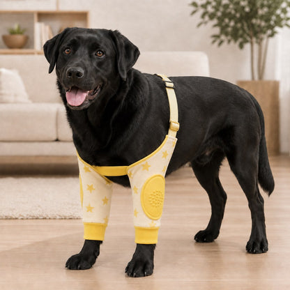 Ortekor Padded Dog Elbow Protector Sleeves for Hard Floors - Dual Front-Leg Coverage for Pressure & Rubbing